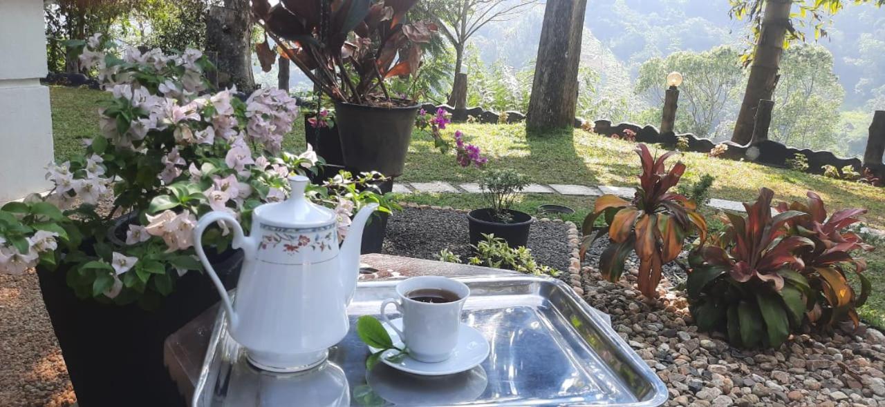 مبيت وإفطار Ceylon Rich Leaves إيلا المظهر الخارجي الصورة