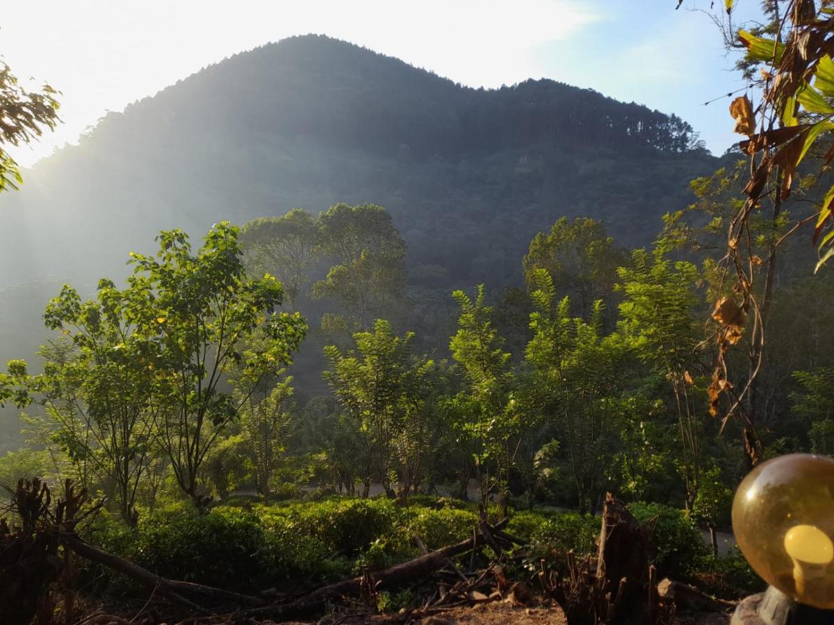مبيت وإفطار Ceylon Rich Leaves إيلا المظهر الخارجي الصورة