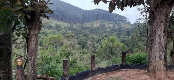 مبيت وإفطار Ceylon Rich Leaves إيلا المظهر الخارجي الصورة